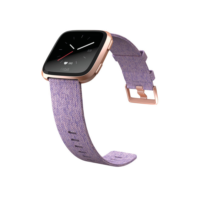 fitbit fb505rglv