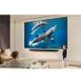 QNED TV LG 43QNED80A3A
