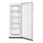 Zamrzivač Gorenje F4142PW