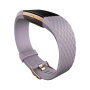 Tracker Fitbit Charge 2 FB407RGLVL SE Rose Gold L
