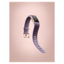 Tracker Fitbit Charge 2 FB407RGLVL SE Rose Gold L