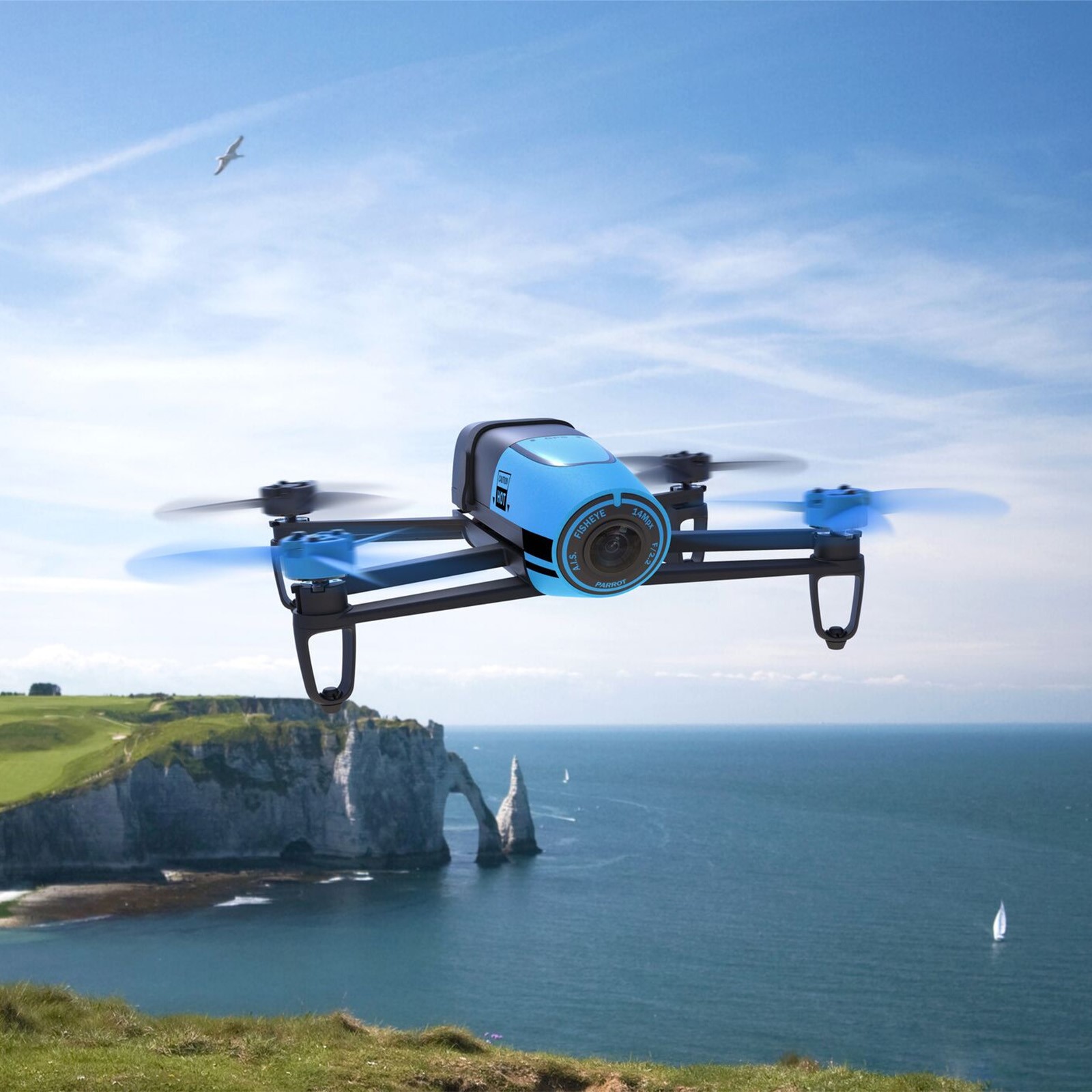 parrot bebop blue