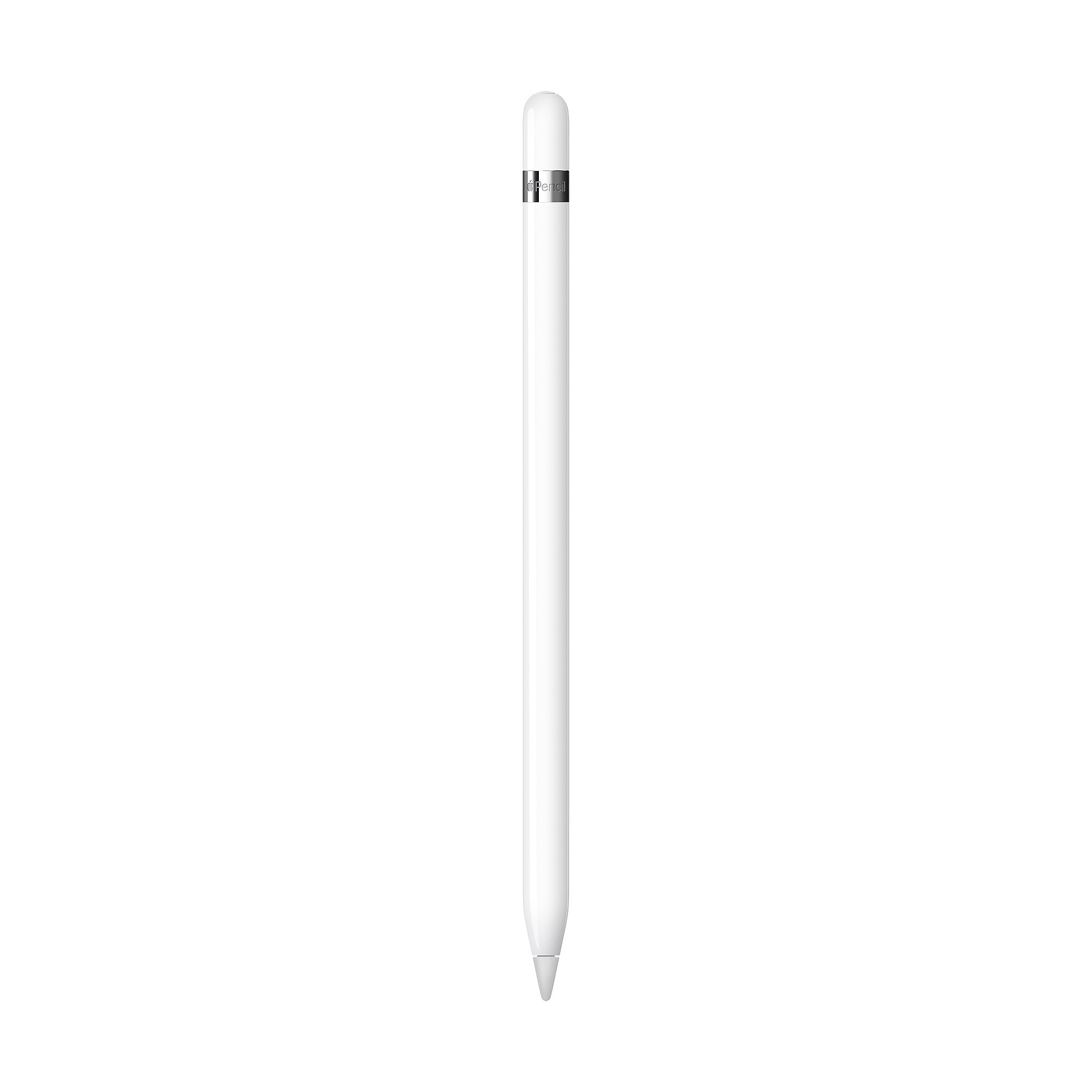 Olovka Apple Pencil (1st Generation)