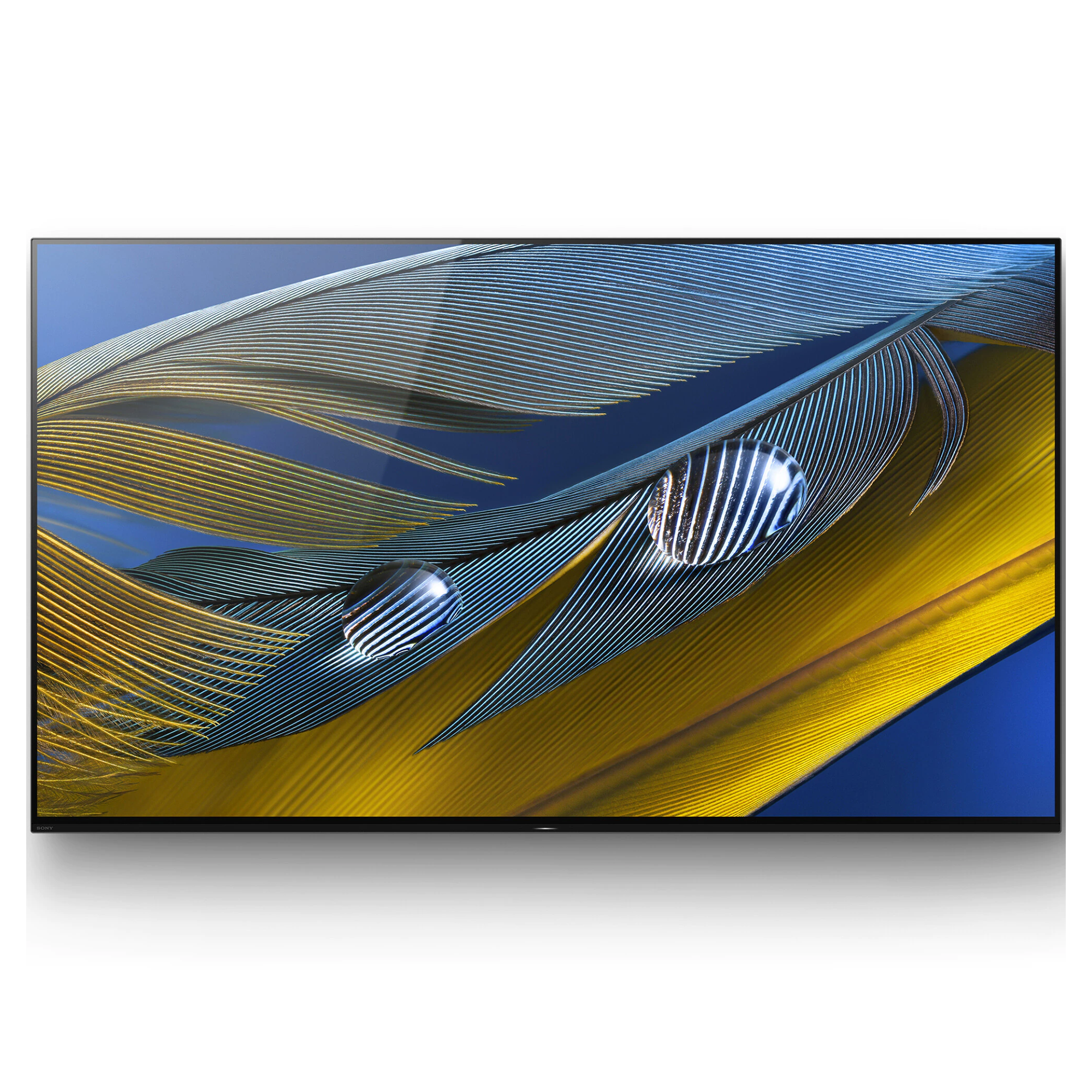 OLED TV Sony XR55A83JAEP