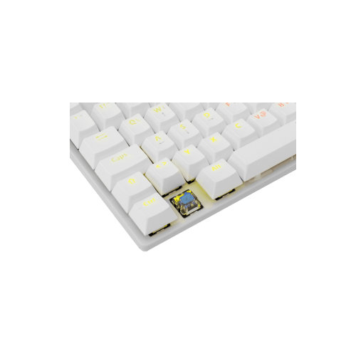 Tastatura White Shark GK-2106 COMMANDOS BIJELA / HR - plavi switchevi