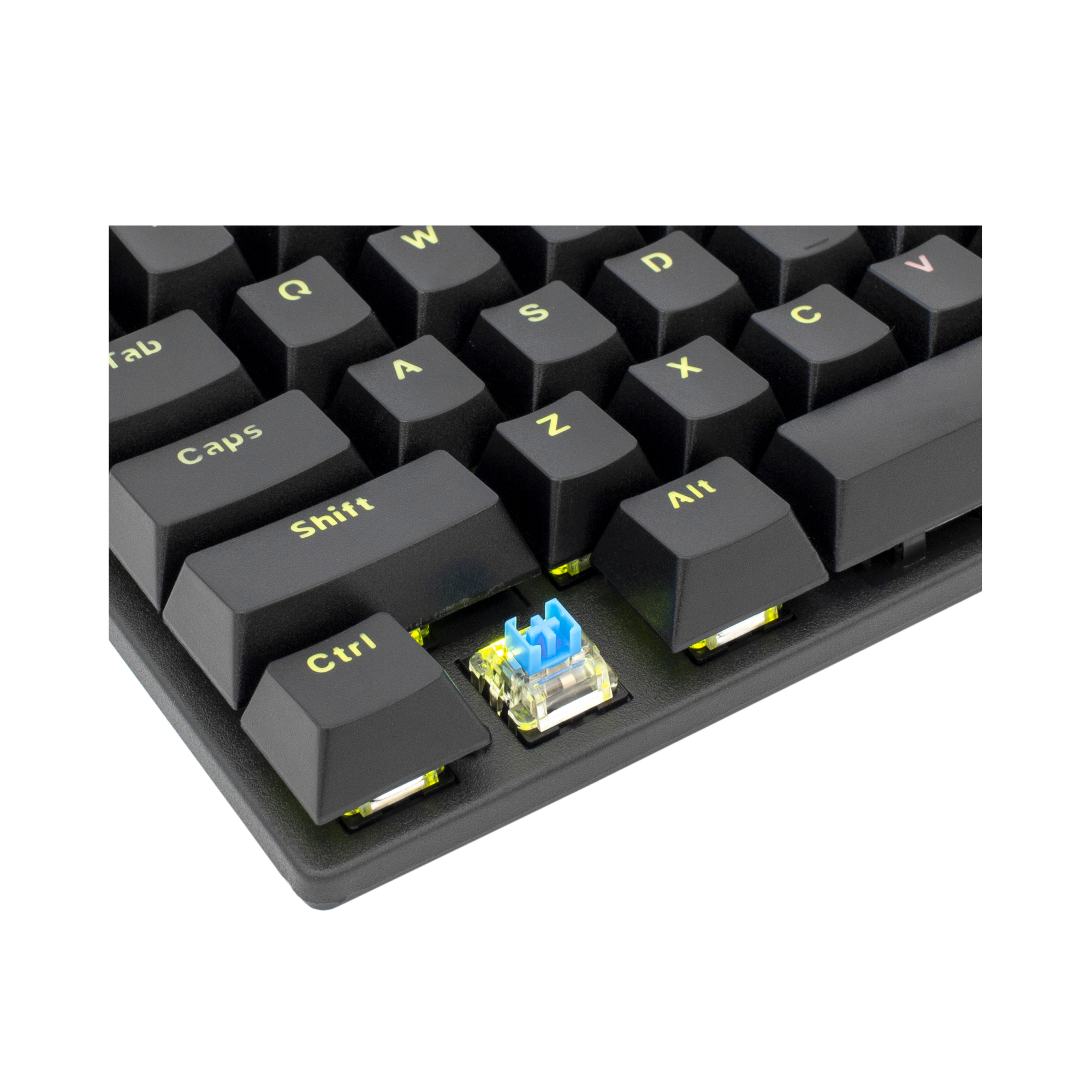 Tastatura White Shark GK-2106 COMMANDOS CRNA - / HR - plavi switchevi