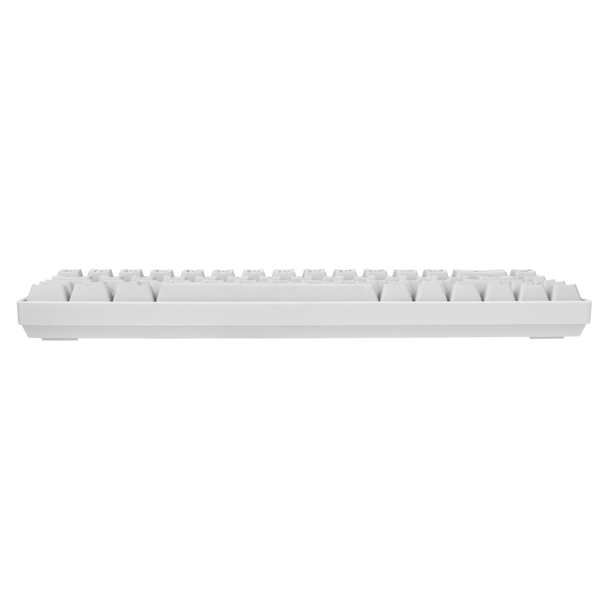 Tastatura White Shark GK-2201 RONIN Bijela-HR