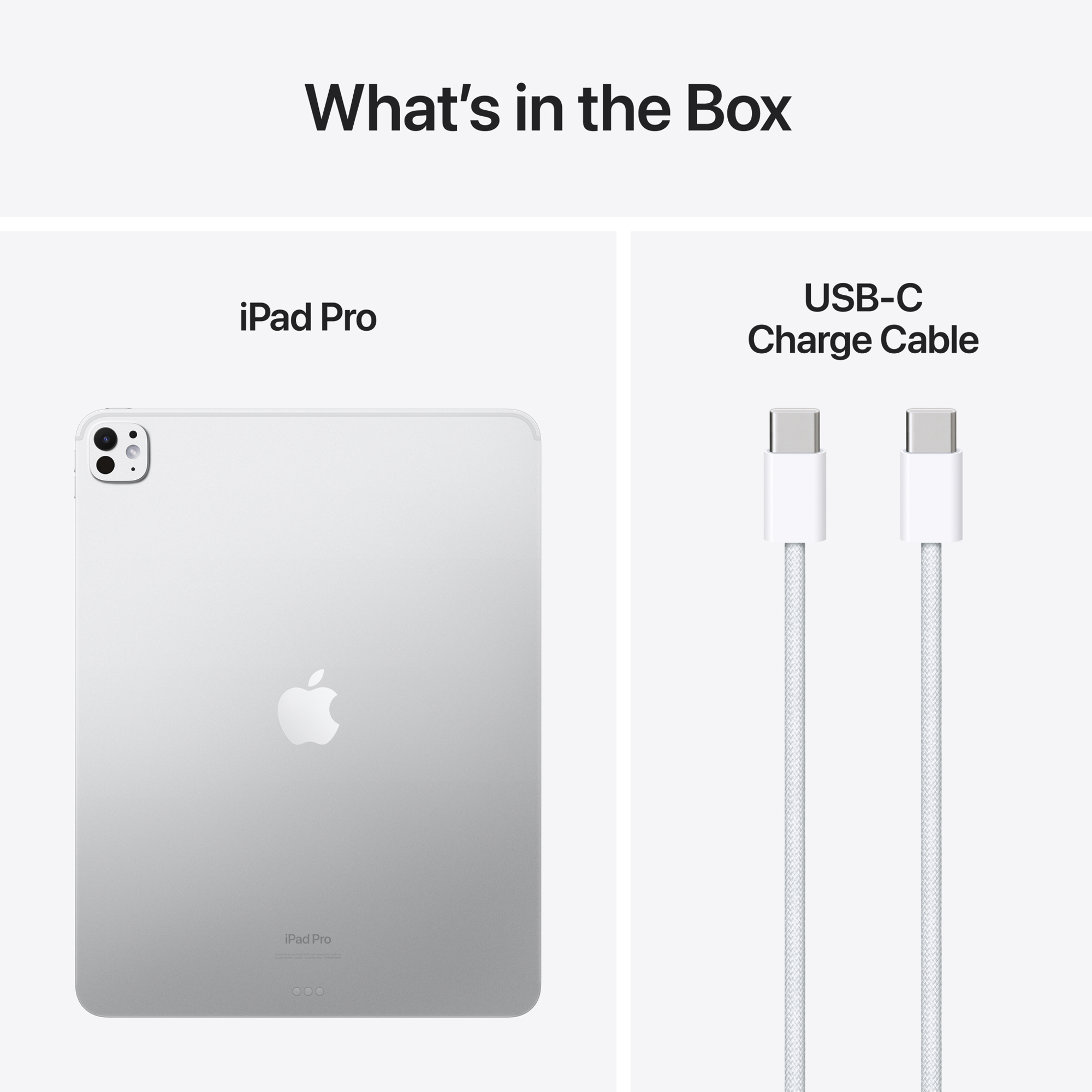 Apple 13-inch iPad Pro (M4) WiFi 256GB with Standard glass