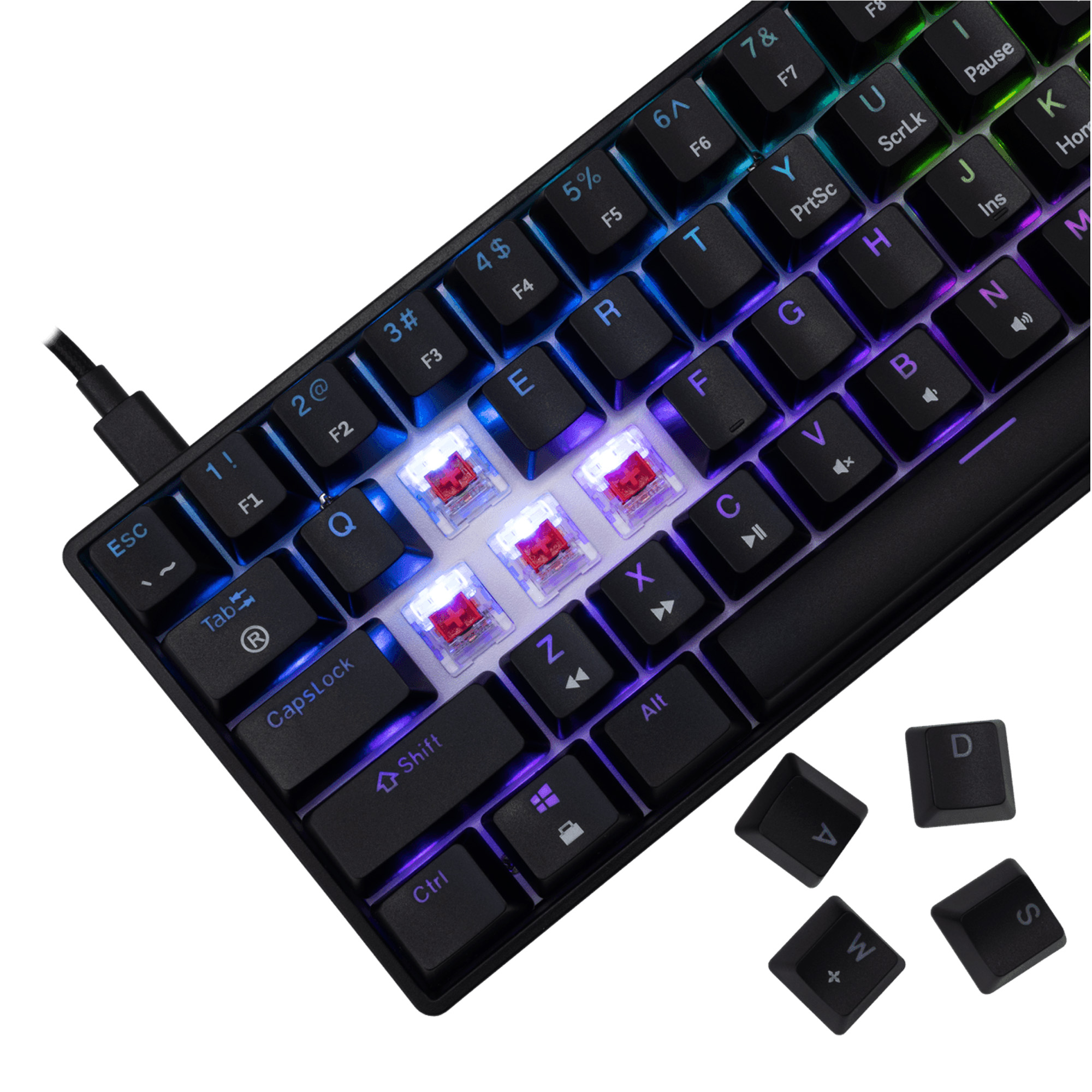 Tastatura White Shark GK-004111 SHINOBI-2 Crna - Mehanicka / US